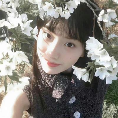 翱翔雄心